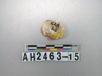 藏品(石英石片器)的圖片